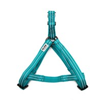 Great&Small Glow Harness Turquoise