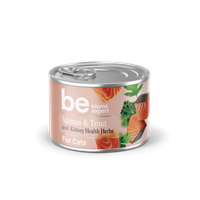Biome Expert Cat Kidney Health Salmon & Trout 190g
