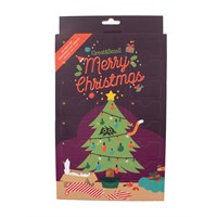 Great&Small Merry Christmas Crunchy Cat Advent Calendar