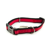 Great&Small Active Neoprene Collar Red