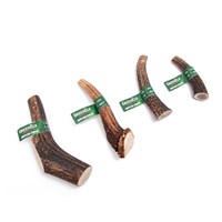 Green Elk Full Antler