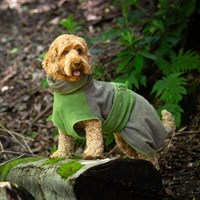 Harbour Hounds Drying Robe - Grey/Green