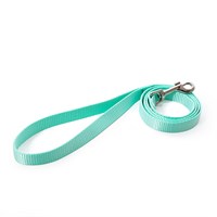 Little & Lively Lead Light Blue