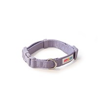 Little & Lively Collar Lilac