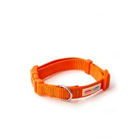 Little & Lively Collar Orange