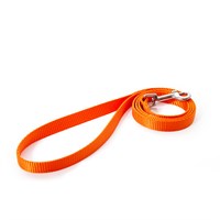 Little & Lively Lead Orange