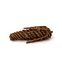 Norah's Willow Corn