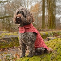 Great&Small Penrose Summer Sunset Pink Twill Padded Coat