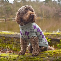 Penrose Knitted Grey Argyle Sweater