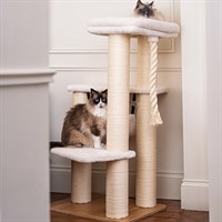 Penrose Melrose Cat Scratcher