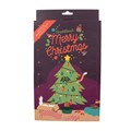 Great&Small Merry Christmas Crunchy Cat Advent Calendar>